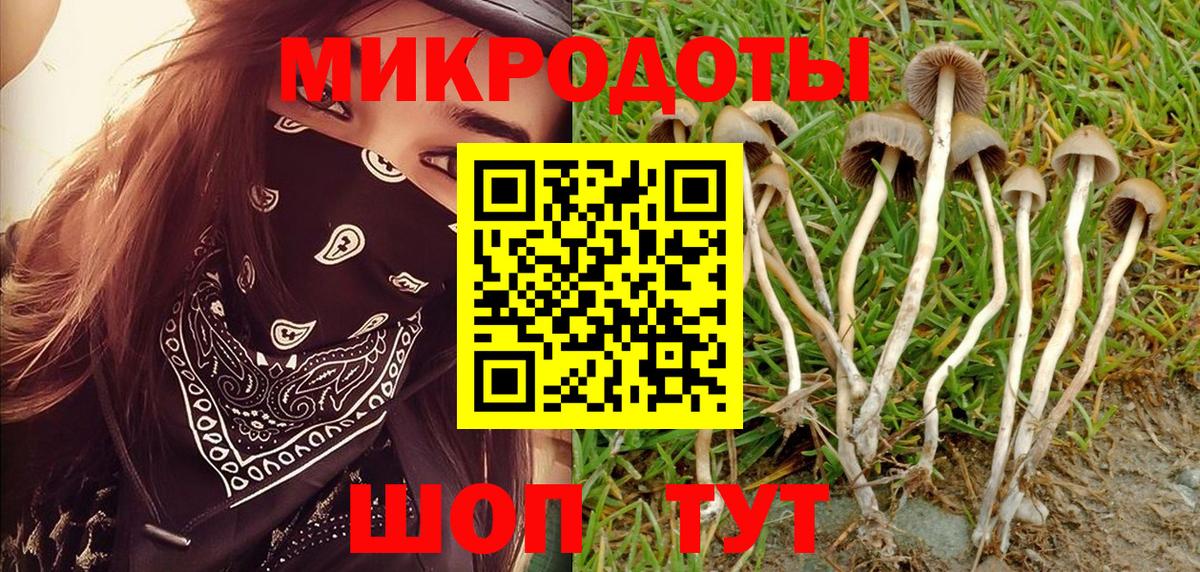 Псилоцибиновые грибы Magic Shrooms Еманжелинск